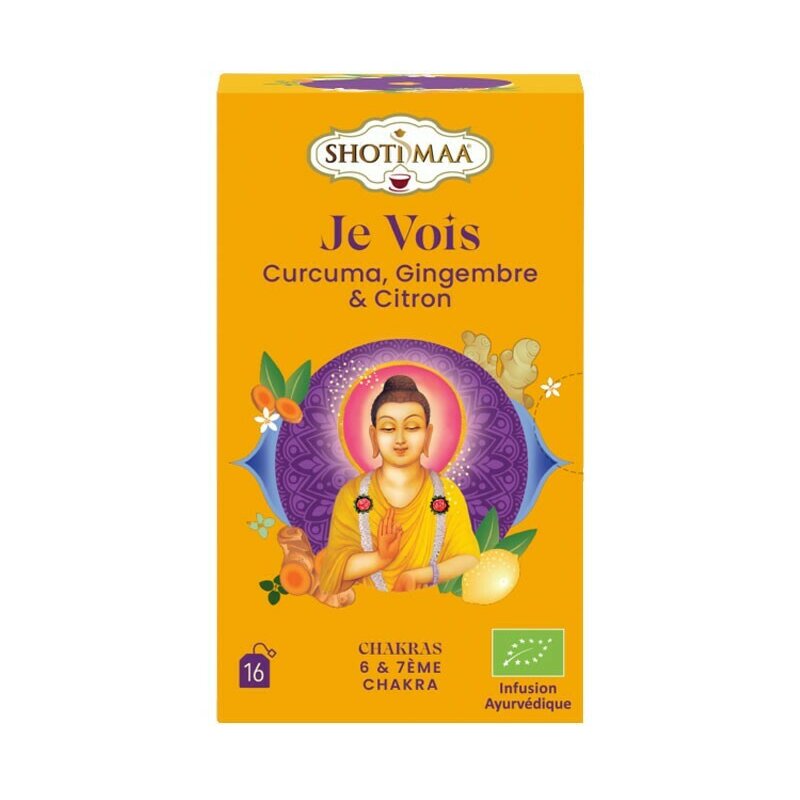 Ceai chakras vision turmeric ghimbir si lamaie bio 32g Shotimaa