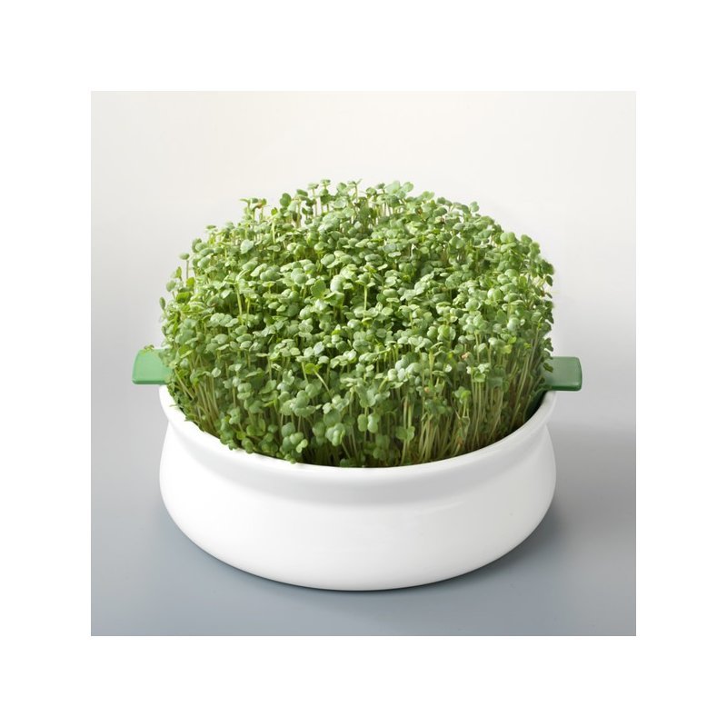 Vas de ceramica cu sita pentru germinare Germline